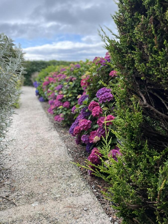 Galloway Farmstay Claunch Newton Stewart Esterno foto