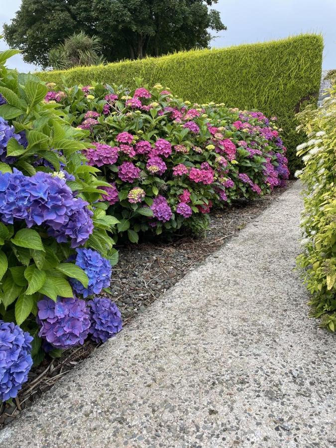 Galloway Farmstay Claunch Newton Stewart Esterno foto