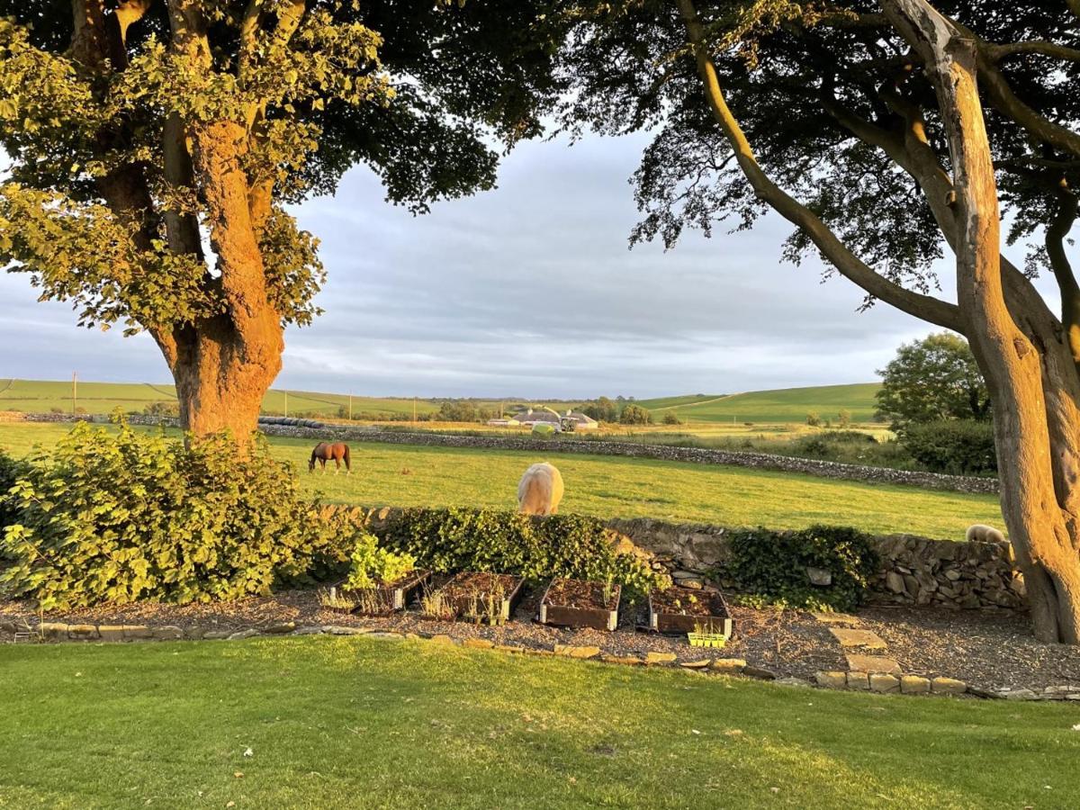 Galloway Farmstay Claunch Newton Stewart Esterno foto